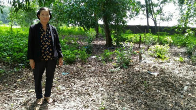 Bà Hằng đứng trên mảnh đất bị ông Hợp chiếm.