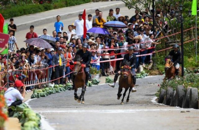 Những khoảnh khắc tranh tài quyết liệt tại giải đua ngựa Fansipan lần thứ nhất