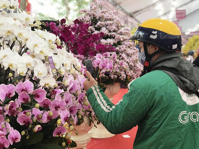 Cách chăm sóc lan hồ điệp cũng khá đơn giản, thượng khách chỉ cần đặt để cây ở môi trường, nhiệt độ lý tưởng từ 20 - 28 độ C. Một tuần tưới 1 lần, không phun trực tiếp lên cánh 