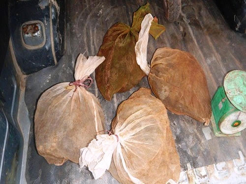4 tang vật Cầy quý hiếm mà Hạt Kiểm lâm VQG Phong Nha – Kẻ Bàng thu giữ được tại hiện trường.