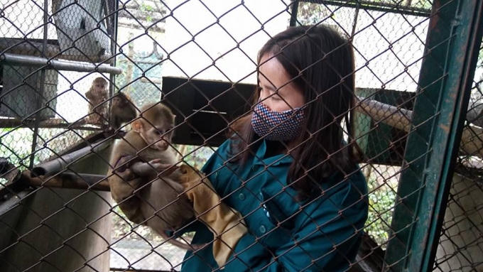 Các cá thể động vật quý hiếm được cứu hộ và chăm sóc tại Trung tâm.