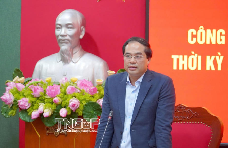 Bí thư Tỉnh ủy Trịnh Xuân Trường phát biểu kết luận và chỉ đạo tại Hội nghị.
