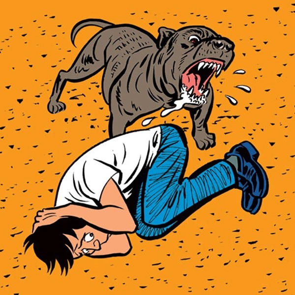 Pitbull điên cuồng cắn người: Nạn nhân thường bị thương rất nặng, thậm chí tử vong - 2