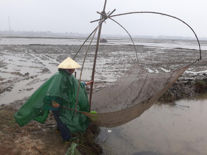 Nông dân xã Lộc Bổn (huyện Phú Lộc, tỉnh Thừa Thiên Huế) vất vả ra đồng để kịp vụ mùa (Ảnh: Mỹ Phúc)