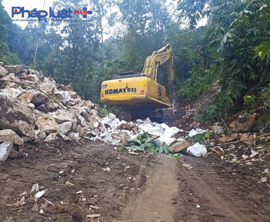 z4962332644336_5017c14b451e72c8f89d5450389b1410