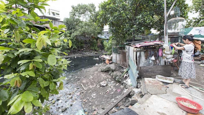 Bà Đoàn Thu Hằng, 55 tuổi, cho biết: từ 20 năm nay, nước trong rạch đã bắt đầu ô nhiễm. Và đến thời điểm hiện nay, nước rạch đã hoàn toàn ô nhiễm, mùi hôi thối bốc lên nồng nặc.