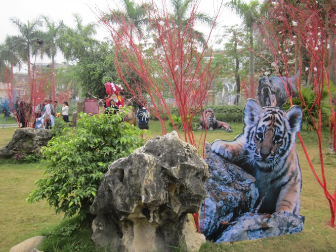 Giới trẻ nô nức đến ngắm cảnh và chụp hình lưu niệm