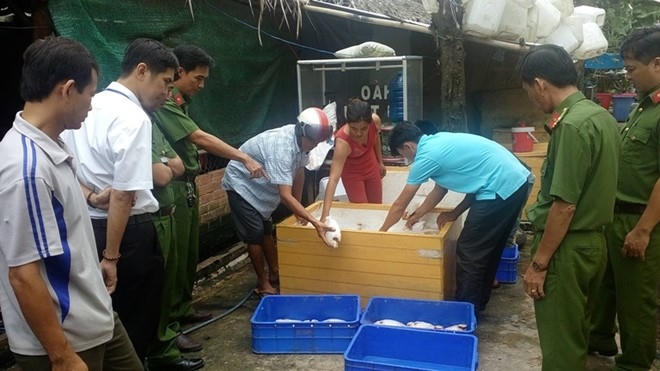Gần 1 tấn cá chết được mua về chứa trong 13 thùng đá, tại quán cơm Gia Long. Ảnh: Công an cung cấp