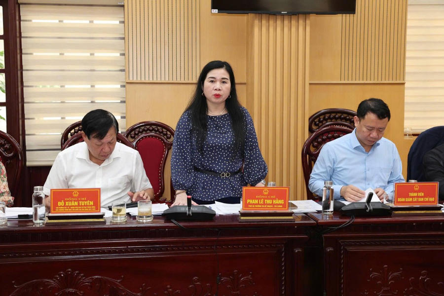 Bà Phan Lê Thu Hằng thành viên trong đoàn giám sát Bộ Y tế phát biểu tại buổi làm việc