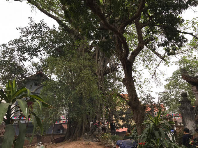 Tháp Cửu phẩm Liên Hoa ở Chùa Mía