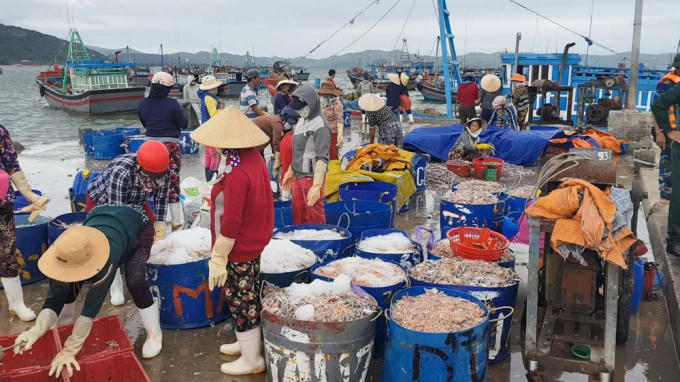 Nhức nhối nạn đ&aacute;nh bắt bằng lưới gi&atilde; c&agrave;o