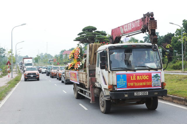 Đoàn xe hàng chục chiếc “hộ tống” xe chở cây đi một vòng tại quanh TP Việt Trì