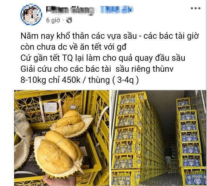 Cần có giải pháp đồng bộ cho sầu riêng Việt Nam để không tiếp tục rơi vào tình trạng kêu gọi cộng đồng "giải cứu" tái diễn