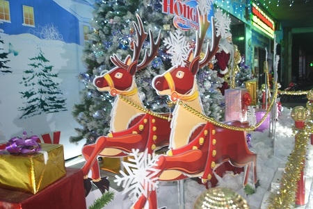 Cận cảnh cặp tuần lộc đáng yêu (Ảnh: Duy Ngợi).