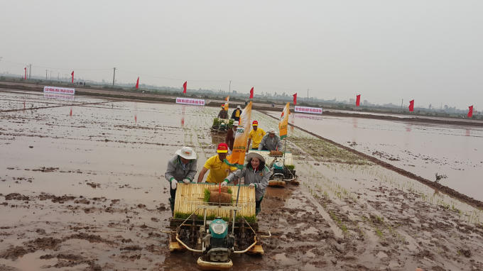 Ngay sau khi đánh trống khai hội, Bí thư Tỉnh ủy Ninh Bình xuống đồng cùng người nông đân.