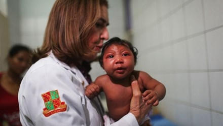 Hiện dịch Zika đang tấn công nhiều quốc gia Châu Á. Ảnh minh họa