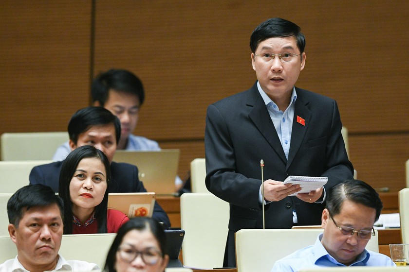 ĐB Lê Hoàng Anh (Gia Lai) cho rằng cần thanh tra đột xuất việc cung ứng xăng dầu tại Hà Nội và Tp. Hồ Chí Minh