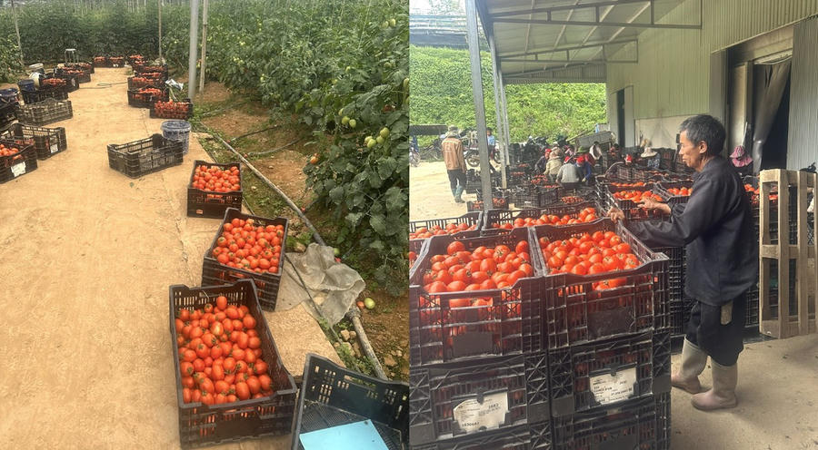 z4696586774372_e0ceb0e54e1122a8f77facdeff458ea2