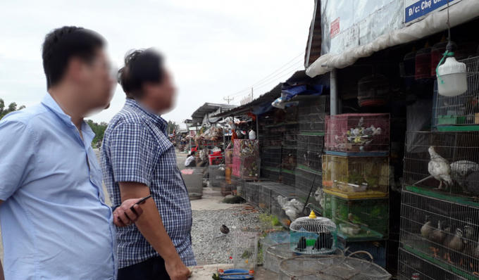 Khách đến chợ chim Thạnh Hoá