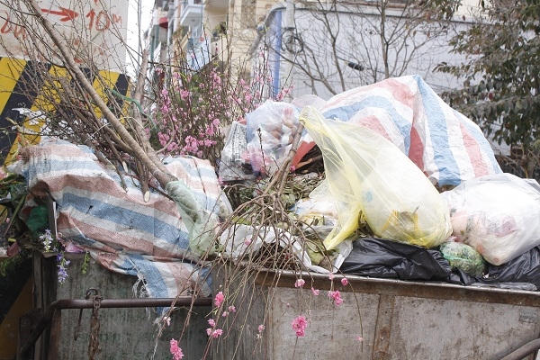 Sau tết, không chỉ có những xác đào được người dân vứt bỏ mà số lượng rác cũng gấp hai đến ba lần ngày thường.