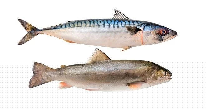 10 thuc pham kieng ki doi voi nguoi bi benh gut hinh 2