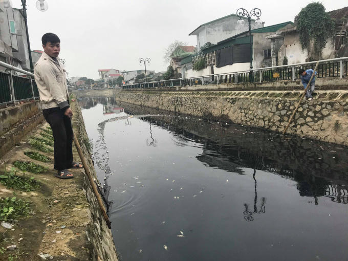 Một nhóm công nhân dùng lưới để thu gom cá chết trên Hào Thành Cổ Vinh.