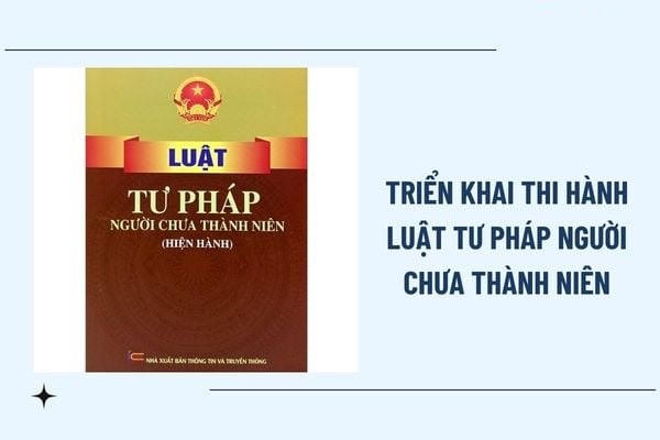 Hà Nội triển khai thi hành Luật Tư pháp người chưa thành niên. (Hình minh họa)