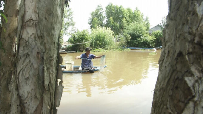 Với sự giúp đỡ cặp bò cái từ chương trình Lục Lạc Vàng, nhiều gia đình đã vươn lên thoát nghèo.