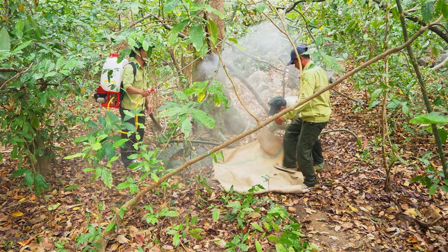 Lực lượng chức năng diễn tập PCCCR trên cụm đảo Hòn Khoai (huyện Ngọc Hiển).