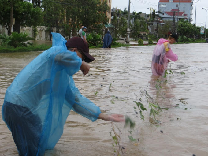 Đường phố Đồng Hới Ngập sau trong nước vô tình trở thành 'ao' cho các bạn sinh viên bắt cá.