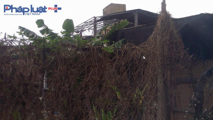 Công trình mới được xây dựng.