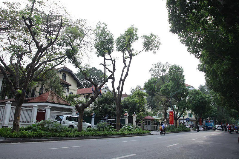  Tuyến phố Trần Phú đẹp từ thời Pháp thuộc đến nay