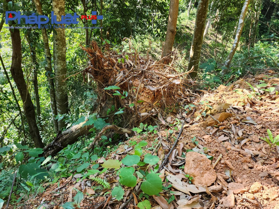 z3853017963578_652ccacf129a6cb6c2fe8083dd1dc423