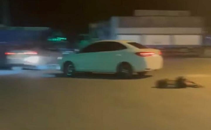 o-to-tong-phu-nu-tuyen-quang-11051286