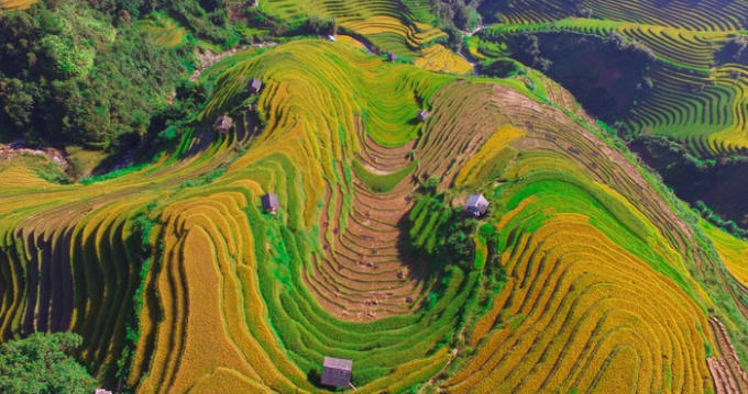 Đôi chỗ trên các sườn đồi, một vài thửa ruộng còn đan xen giữa sắc vàng, sắc xanh là màu nâu của những thửa ruộng đã thu hoạch. Tô điểm trong bức tranh Tây Bắc hùng vĩ là những căn chòi nhỏ lác đác ở các sườn đồi. Có lẽ, đối với một con người yêu thiên nhiên, núi rừng, được chứng kiến và tận hưởng những khoảnh khắc này là niềm may mắn, hạnh phúc nhất trong tôi.