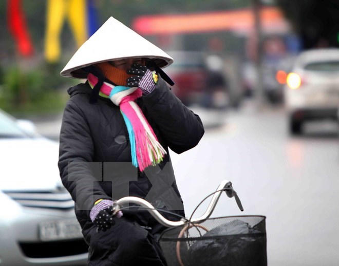 Ảnh minh họa. Nguồn: TTXVN.