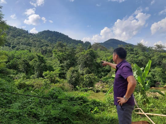 Gần 1.000 ha đất rừng giao doanh nghiệp Trung Quốc bị bỏ hoang từ 10 năm nay. Ảnh: VŨ VĂN XOÀI.