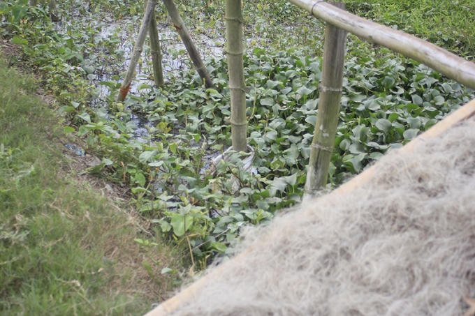 Mỗi ngày, làng nghề Dương liễu được biết xả ra môi trường số lượng lớn nước thải. Phần lớn chúng không được xử lý mà xả thẳng ra hệ thống kênh thuỷ lợi rồi theo dòng ra sông Đáy, làm ô nhiễm cả dòng sông này. Và đặc biệt, miến lại được phơi trên chính những dòng kênh ô nhiễm này...
