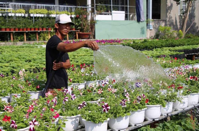 Điểm độc đáo ở làng hoa Sa Đéc là hoa được trồng trên giàn cao, phía dưới là nước từ rạch chảy vào. Người trồng hoa vì thế phải chèo thuyền hoặc đi dưới nước để chăm sóc và thu hoạch hoa thay vì đi lại trên đất như những nơi khác.