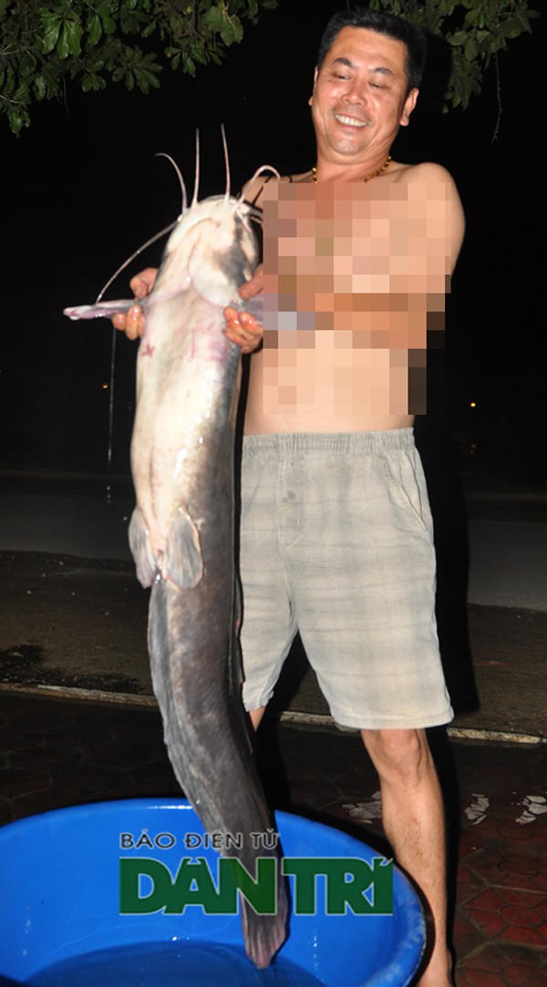 Con cá dài 1,2m và cân nặng lên tới 27kg.