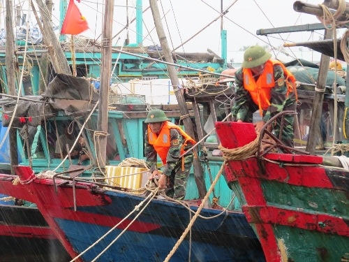 Lực lượng biên phòng Hải Phòng giúp ngư dân neo đậu, chằng buộc tàu thuyền vào tránh trú bão tại bến Ngọc Hải. Ảnh: Giang Chinh.