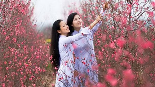 Tết Nguyên Đán năm nay, nhiệt độ miền Bắc sẽ ấm hơn trung bình nhiều năm.