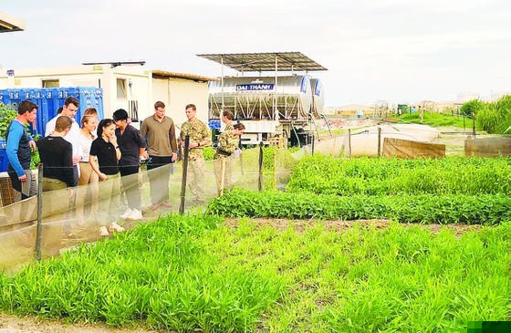 Ai đến Bệnh viện dã chiến của Việt Nam cũng ngạc nhiên với màu xanh mướt mắt