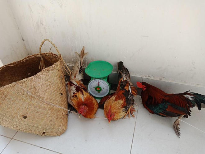 Tang vật bị công an thu giữ.