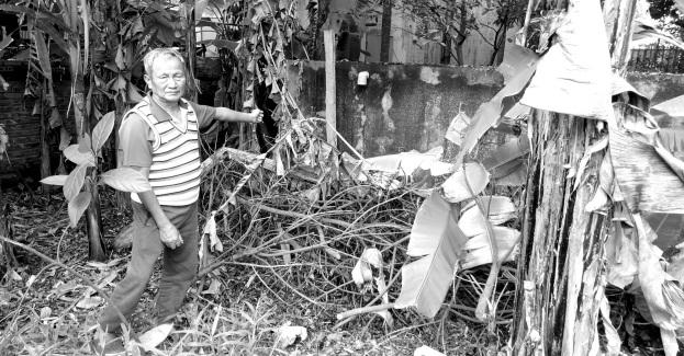 Ông Đặng Đình Thà bên phần diện tích đất đang bị tranh chấp.
