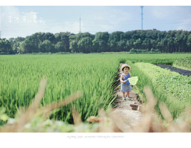 và Mùa hè của Lý Mộng Ngư.