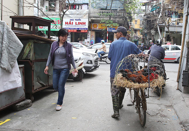 Người đàn ông dắt chiếc xe đạp rao bán gà khắp các ngõ nhỏ của phường Nguyễn Trung Trực. Trước đây ông vẫn thường ngồi bán hàng tại vỉa hè chợ Châu Long.
