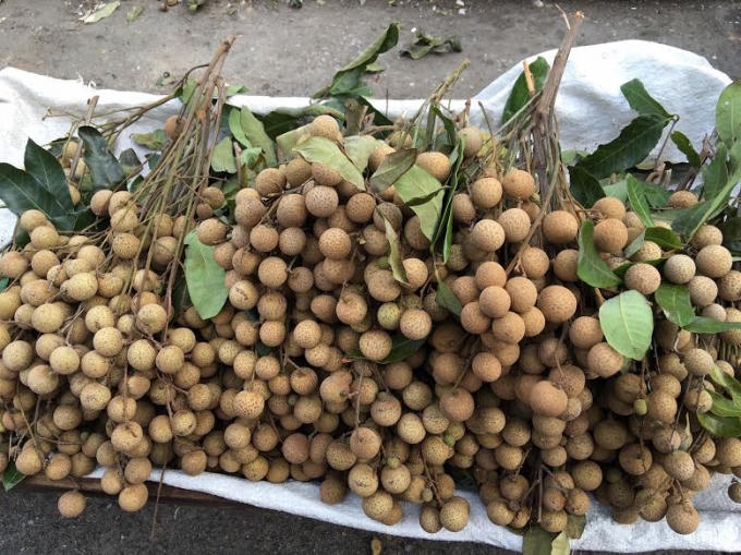 Nhãn bình thường sẽ có màu thâm xỉn.