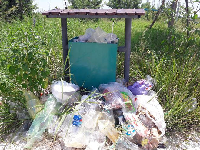 Cỏ xen lẫn với rác thải trong công viên.