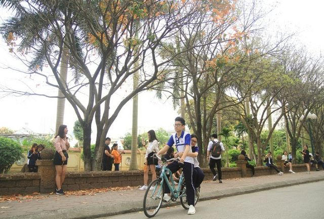 Cũng có thể là một chuyện tình gà bông trong sáng, hồn nhiên cùng nhau đi trên chiếc xe đạp, hai bên đường rợp sắc vàng.